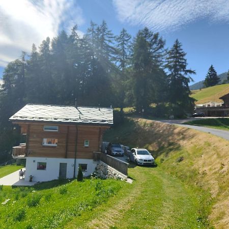 Chalet Matterhornsicht Naters Екстериор снимка